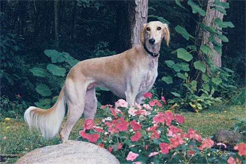 Emily enjoys the garden